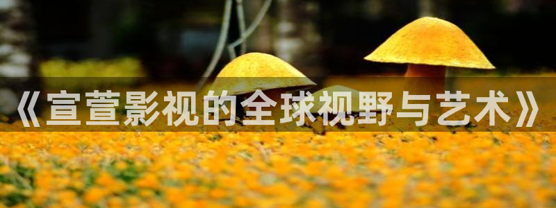 橘子視頻在線下載：《宣萱影視的全球視野與藝術(shù)》
