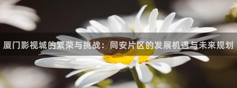 橘子了：廈門影視城的繁榮與挑戰(zhàn)：同安片區(qū)的發(fā)展機(jī)遇與未來規(guī)劃
